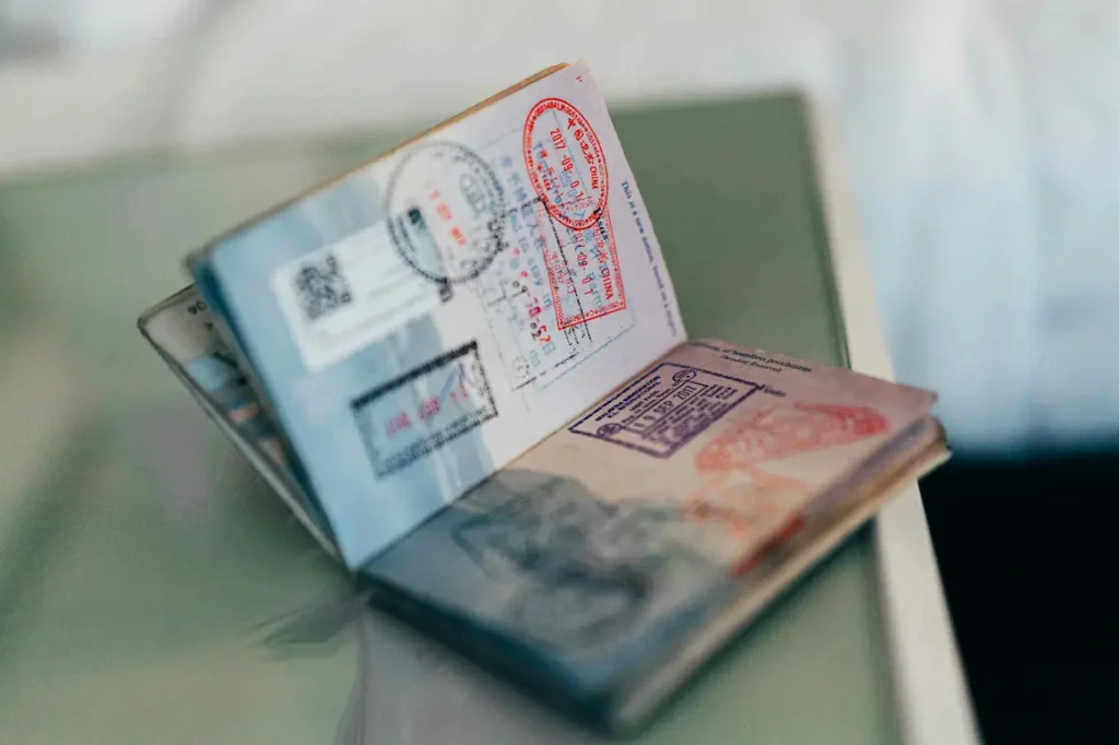 E-visa process India