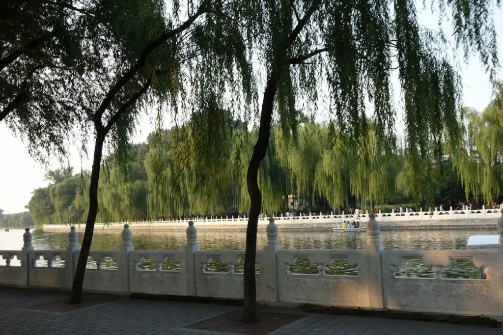 Beijing's peaceful public parks