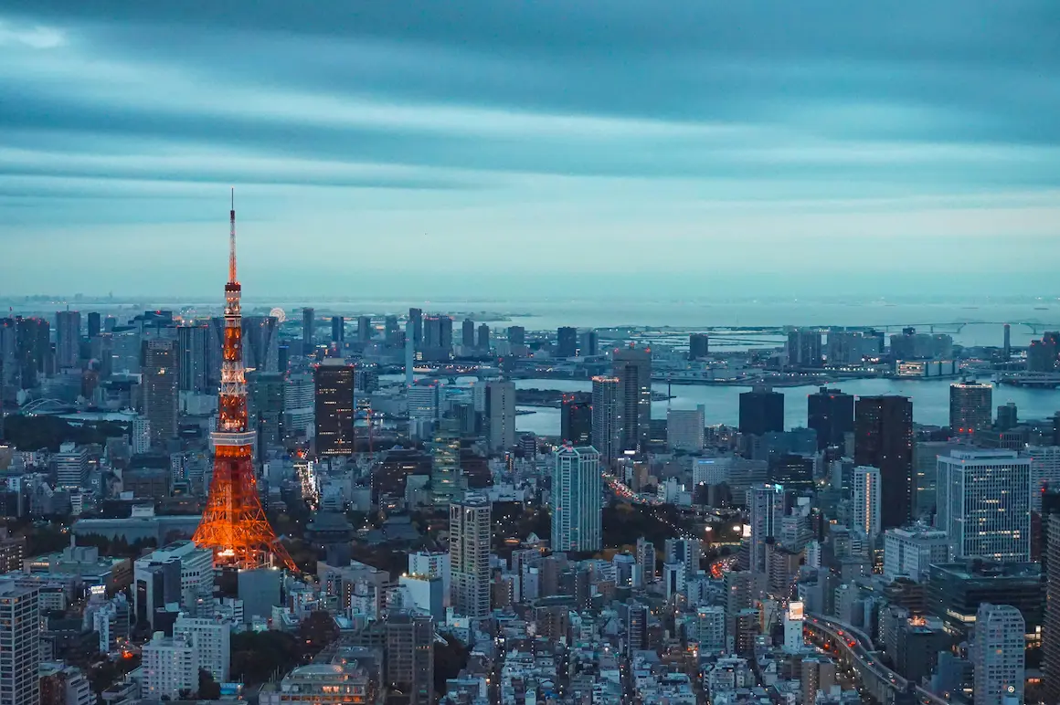 Tokyo travel with kids skyview 2025