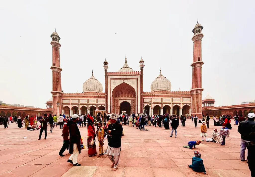Delhi with kids needs preparation and planning to navigate the streets of Old Delhi carefully. 