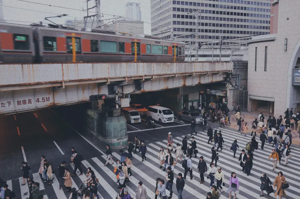  the view of Osaka subways or trains is a little confusing but convenient, for easy day trips with kids 