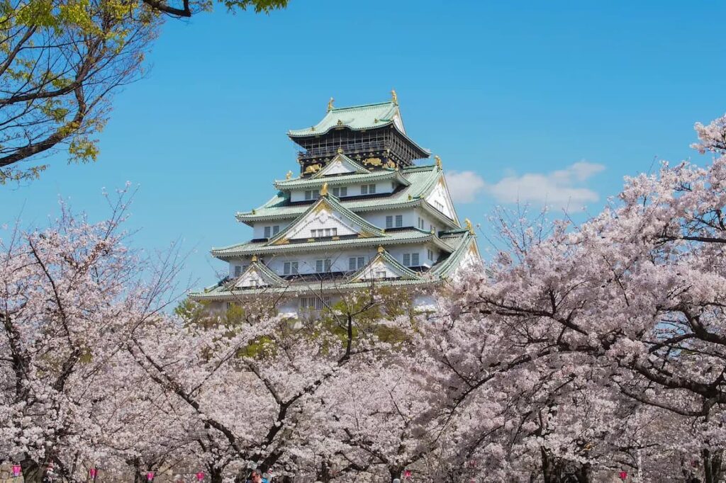 The beautiful view of Osaka castel in the cherry blossom of the spring season.