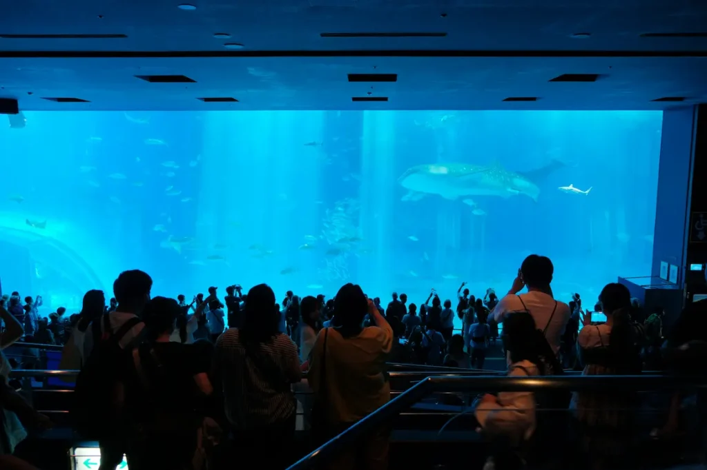 Osaka Aquarium Kaiyukan jellyfish tank – family-friendly things to do in Osaka with kids
