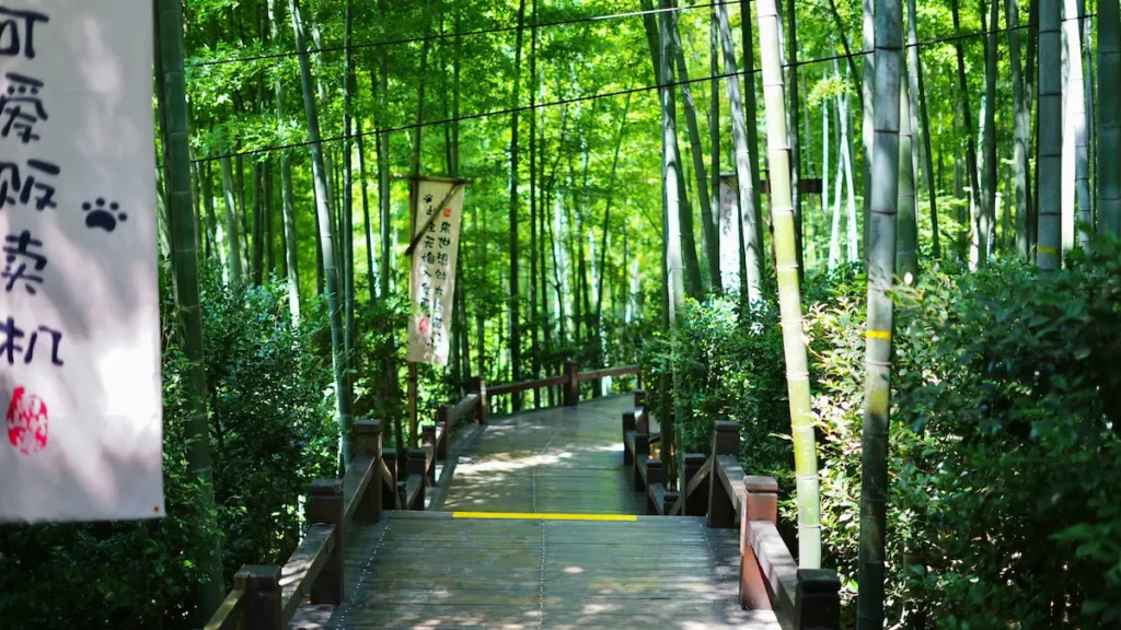 River View Park – A Calm Family Spot Near Chengdu’s Bustling People’s Park