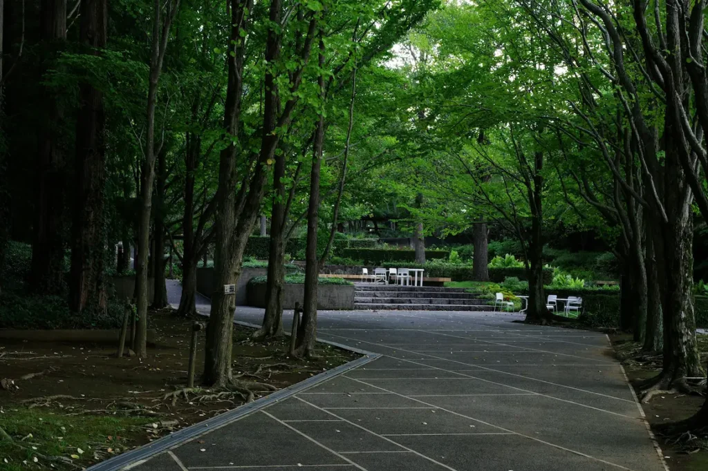 The beautiful landscape of Nakanoshima Park is a calm escape from Osaka’s busy streets.