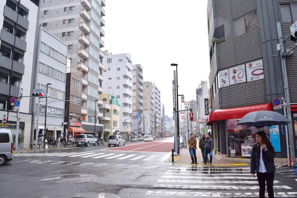 Tokyo winters are surprisingly gentle