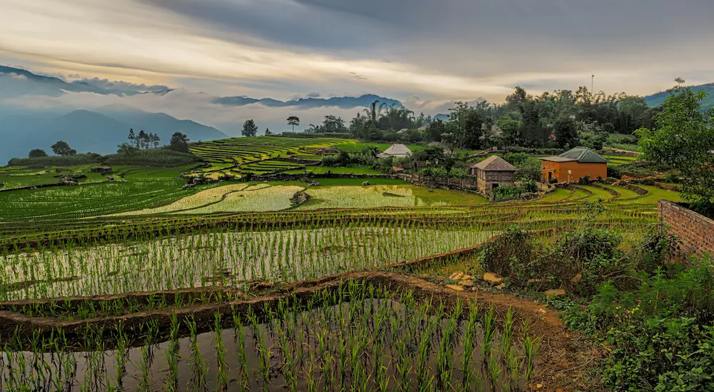 A village of rice paddies in Sapa, Vietnam.