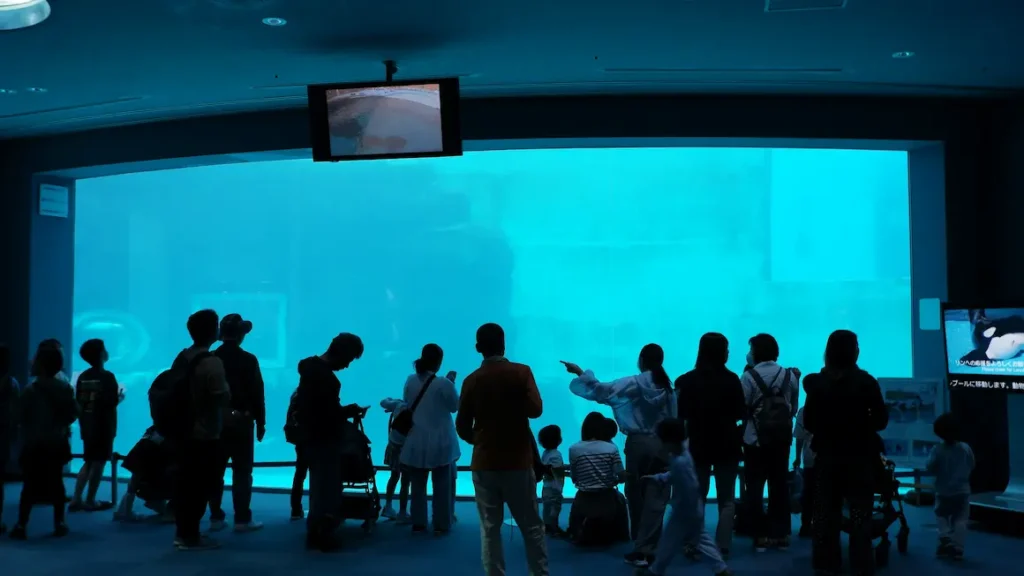 Kids enjoying spotting sea creatures in the Osaka Aquarium Kaiyukan