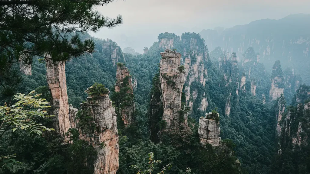 the amazing view of Zhangjiajie—the Avatar-inspired mountains. 