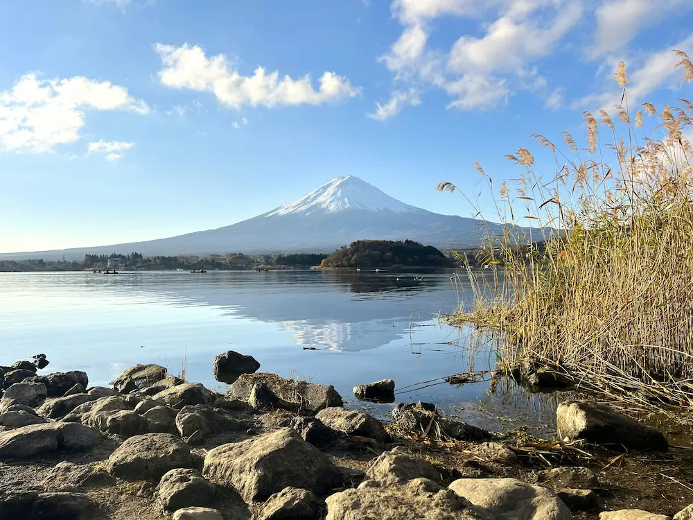 Oishi Park flower gardens with a Mount Fuji view—a family-friendly stop on a day trip from Tokyo.