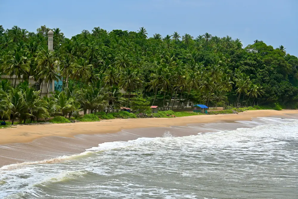 Beach resort in Kumarakom surrounded by palm trees