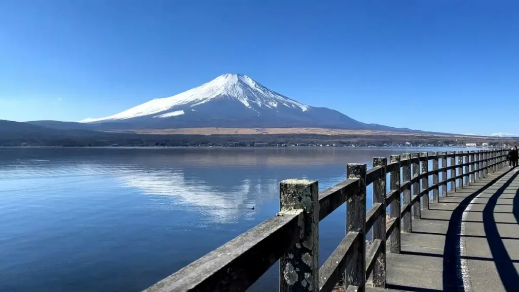 The view from the Boardwalk on Lake Yamanaka, on a day trip to Mt. Fuji with kids, Japan. 