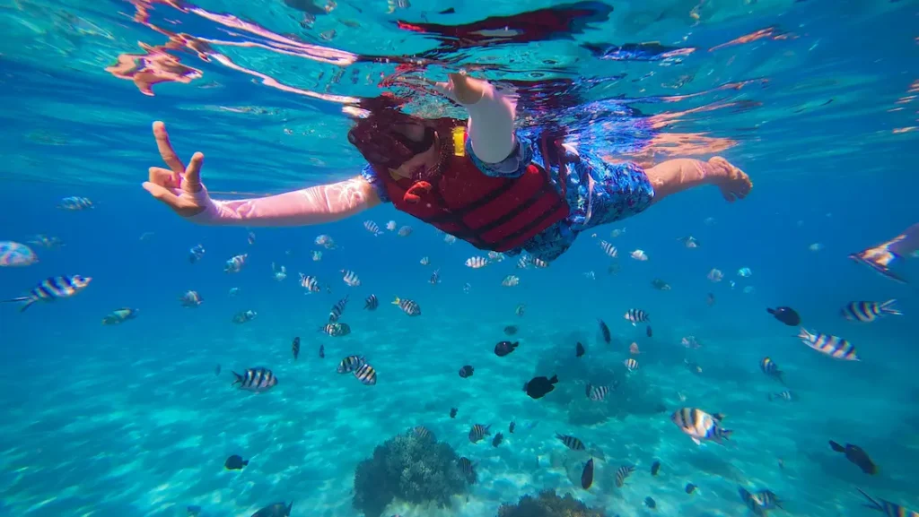 Snorkeling during island hopping in Nha Trang.