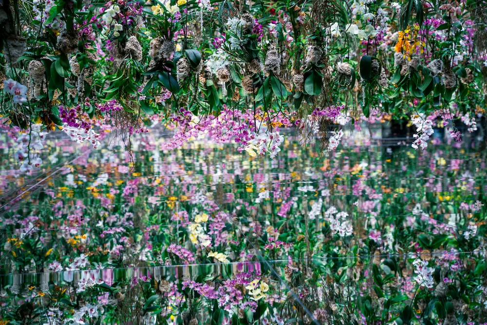 TeamLab Planets hanging flowers section.