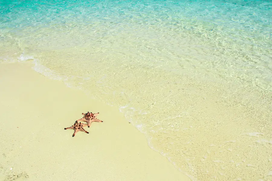 The Starfish Beach, Phu Quoc is fun but not for family-based