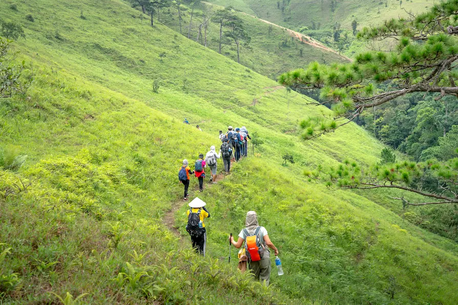 Hmong guide leading family trek through Sapa rice terraces