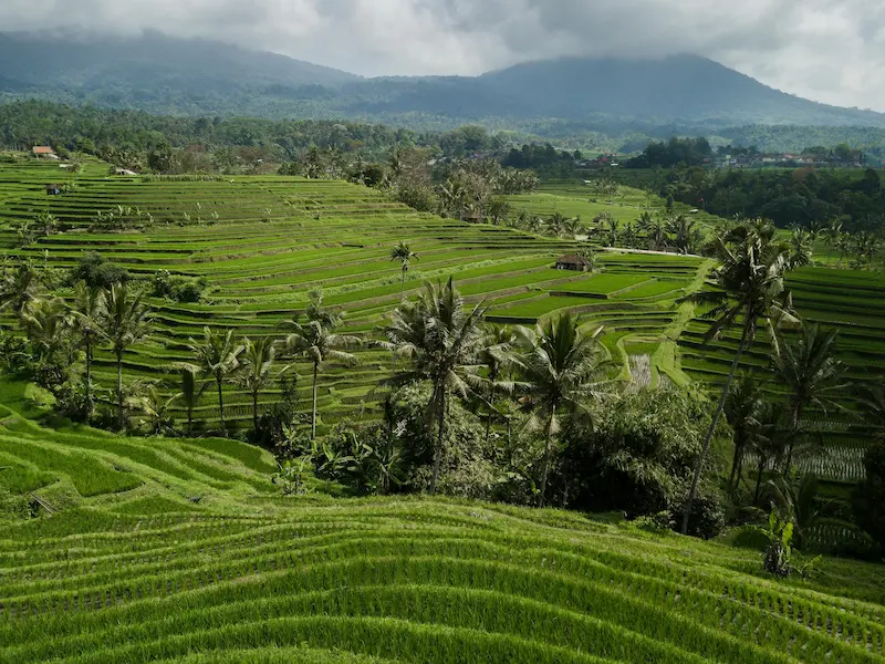 family with two young children exploring a lush garden in Bali Indonesia 2026.