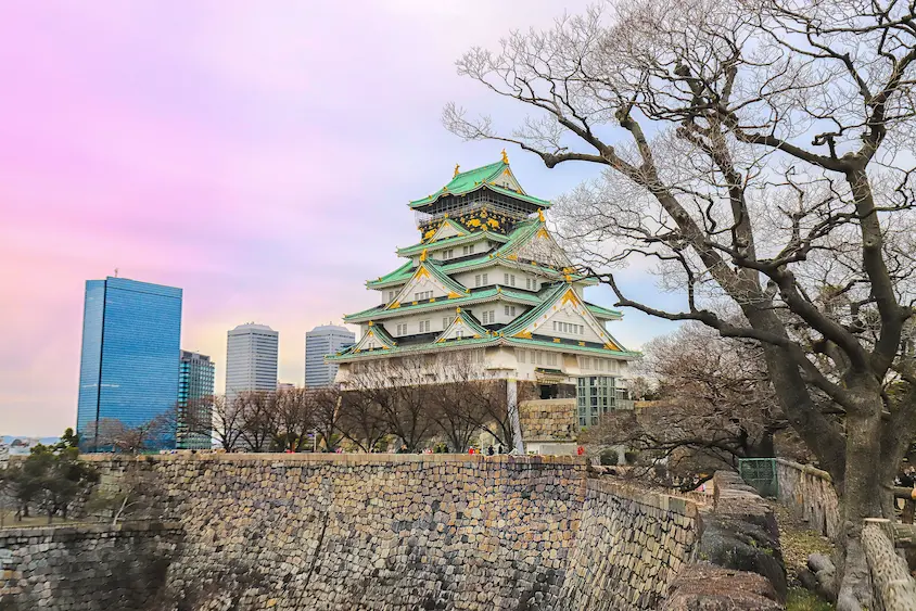 Family visiting Osaka with young children